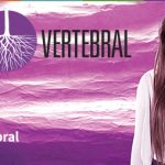 Declaración conjunta entre Vertebral y CUP-A por proyecto de Reforma a la Educación Superior