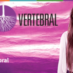 Director Ejecutivo de Vertebral expone en charla online organizada por la Asociación de la Industria Eléctrica-Electrónica de Chile